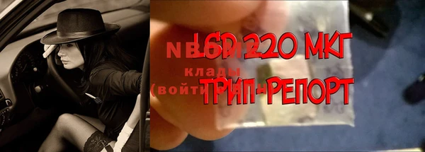 сатива Белокуриха
